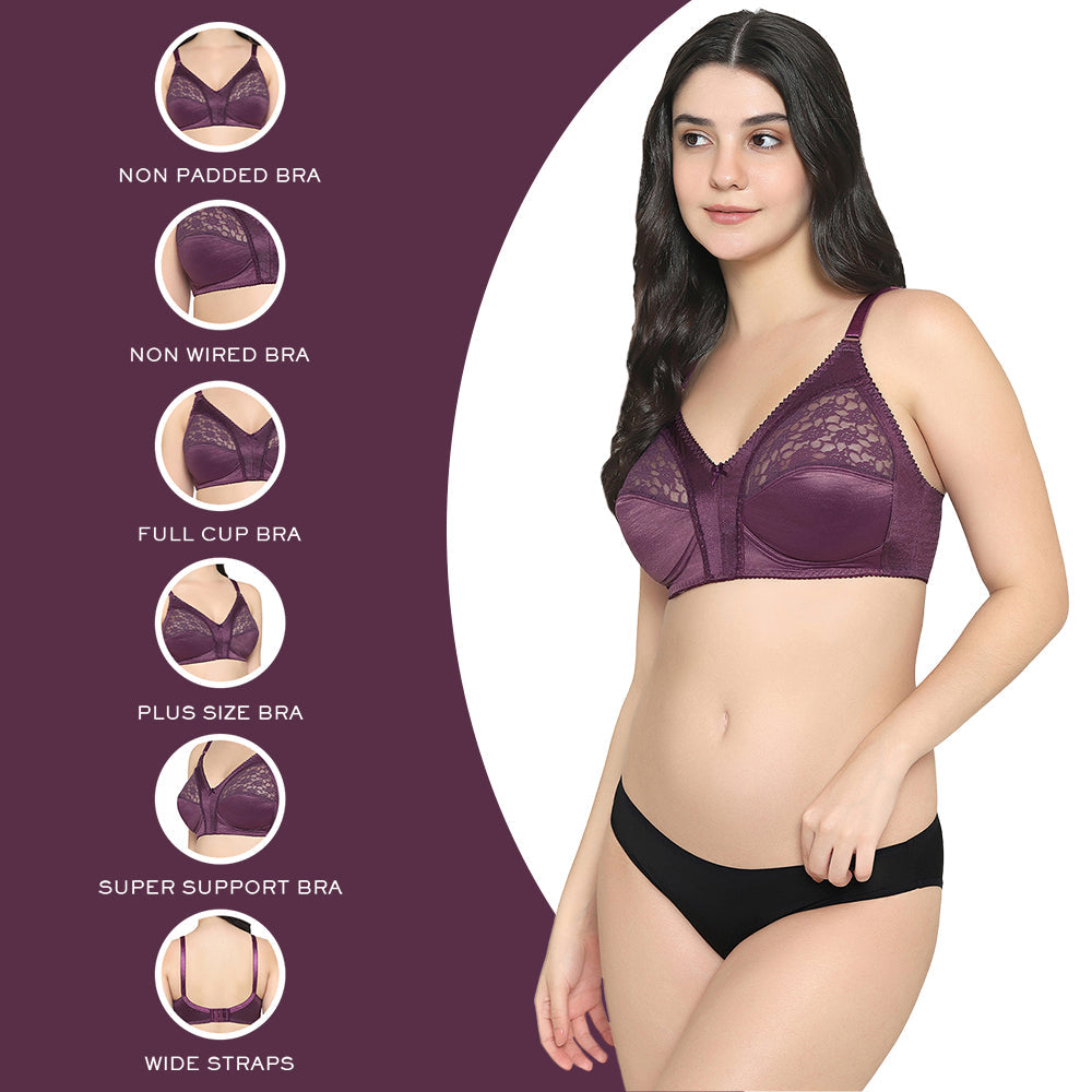 Audrey Non Padded Non Wired Full Cup Plus Size Pack of 2 Full Support Bra