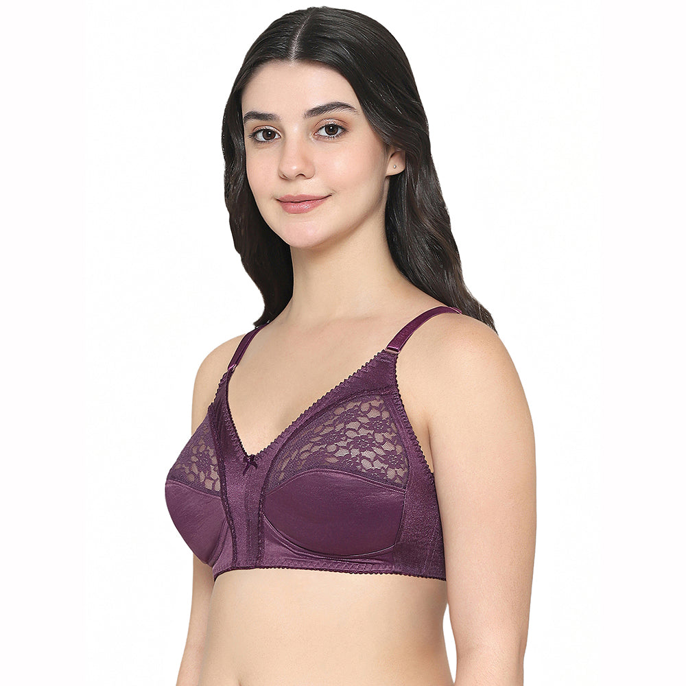 Audrey Non Padded Non Wired Full Cup Plus Size Pack of 2 Full Support Bra