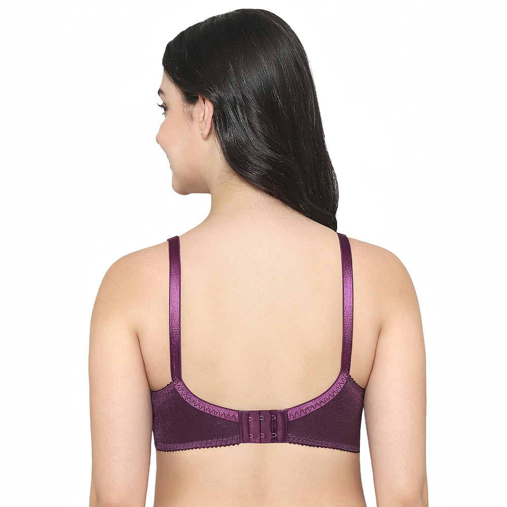 Audrey Non Padded Non Wired Full Cup Plus Size Pack of 2 Full Support Bra