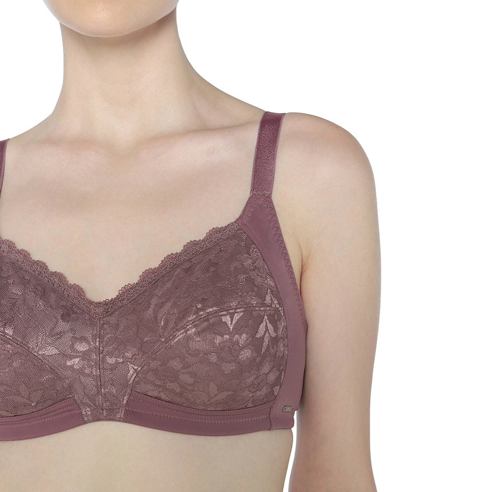 BASICS Grace Non Padded Non-Wired Full Cup Soft Lace Plus Size Full Support Bra-Brown