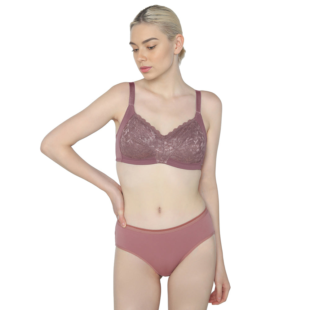 BASICS Grace Non Padded Non-Wired Full Cup Soft Lace Plus Size Full Support Bra-Brown