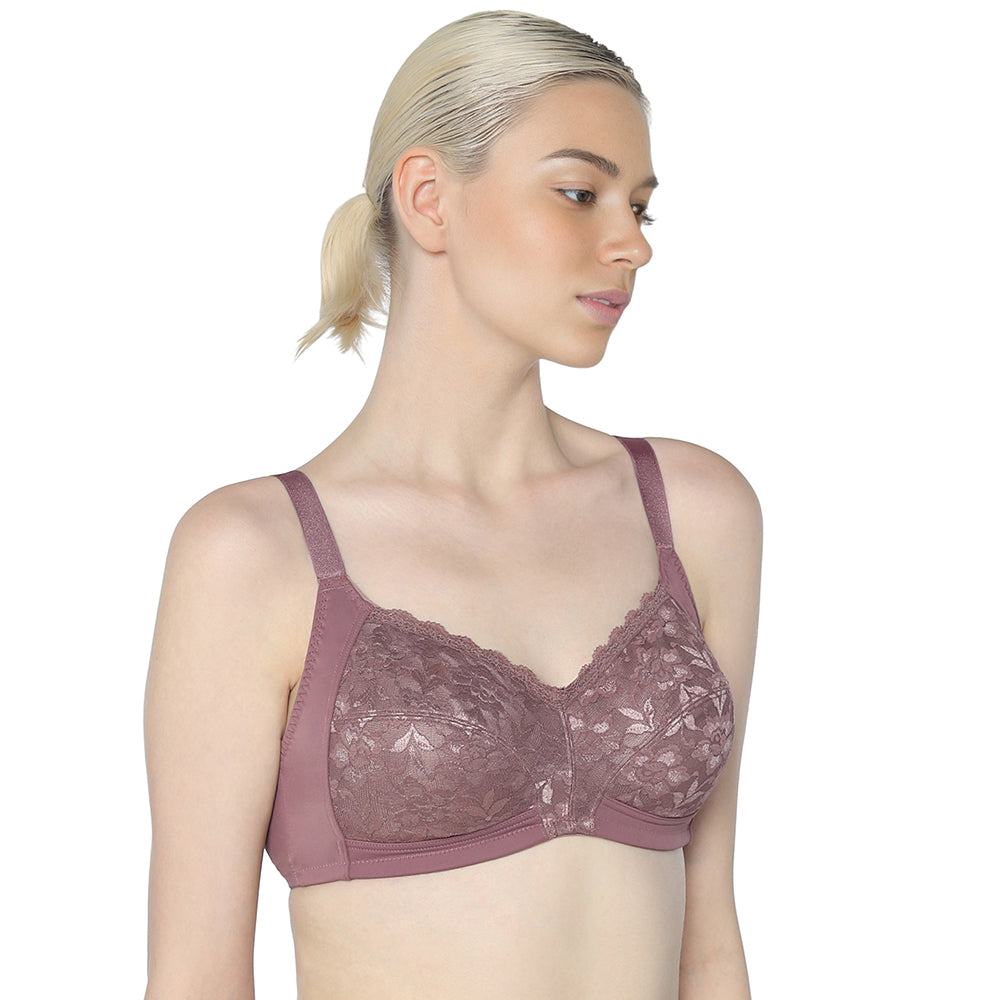 BASICS Grace Non Padded Non-Wired Full Cup Soft Lace Plus Size Full Support Bra-Brown