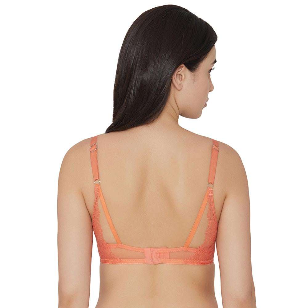 Zephyr Padded Non Wired 3/4Th Cup Push-Up Lacy Plunge Bra - Orange