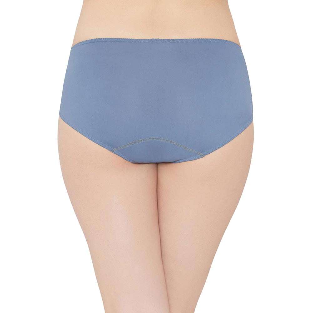 Moselle Mid Waist Medium Coverage Everyday Wear Midi Panty - Blue