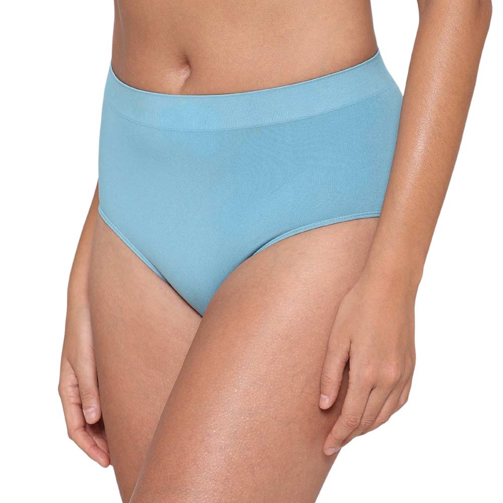 Firm Fit High Waist Full Coverage Everyday Wear Brief Panty - Blue